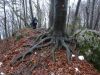 DSC04189.JPG
