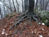 DSC04190.JPG