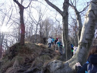 Kliknite za ogled večje slike
