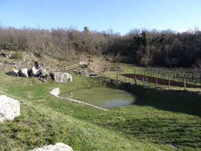 Kliknite za ogled večje slike