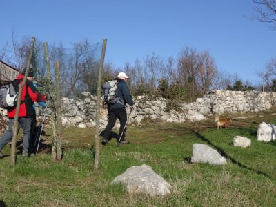Kliknite za ogled večje slike