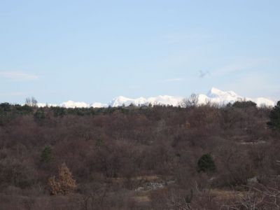 Kliknite za ogled večje slike