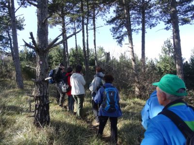 Kliknite za ogled večje slike