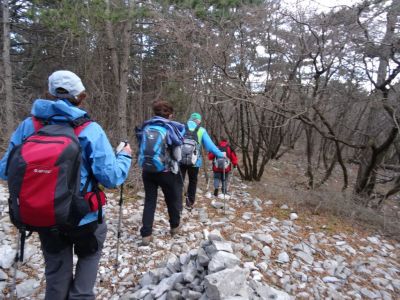 Kliknite za ogled večje slike
