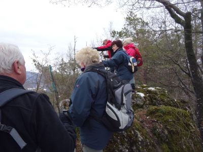 Kliknite za ogled večje slike