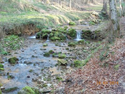 Kliknite za ogled večje slike