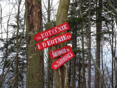 Kliknite za ogled večje slike
