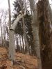 DSC04276.JPG