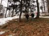 DSC04278.JPG