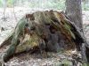 DSC04394.JPG