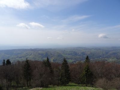 Kliknite za ogled večje slike