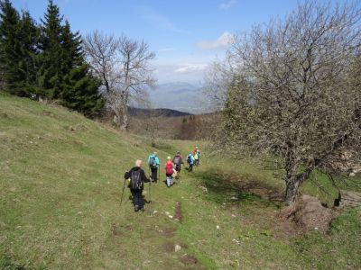 Kliknite za ogled večje slike