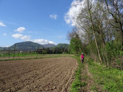 Kliknite za ogled večje slike