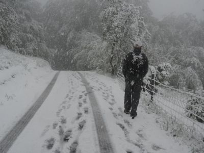 Kliknite za ogled večje slike