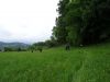 DSC02203.JPG