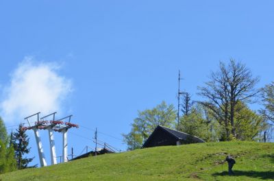 Kliknite za ogled večje slike