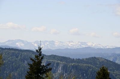 Kliknite za ogled večje slike