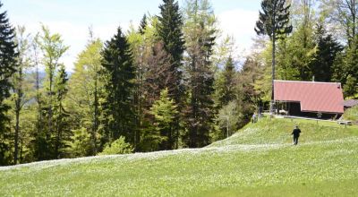 Kliknite za ogled večje slike