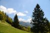 DSC_3238.JPG