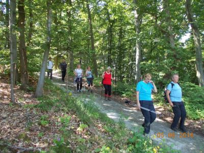 Kliknite za ogled večje slike