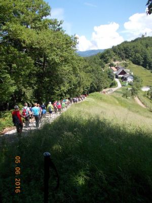 Kliknite za ogled večje slike