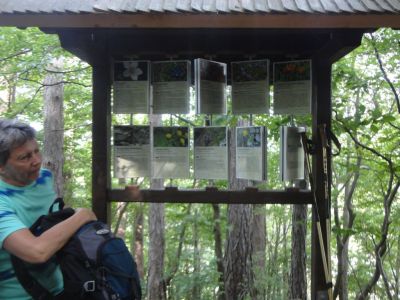 Kliknite za ogled večje slike