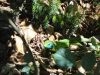 DSC04403.JPG