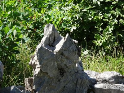 Kliknite za ogled večje slike