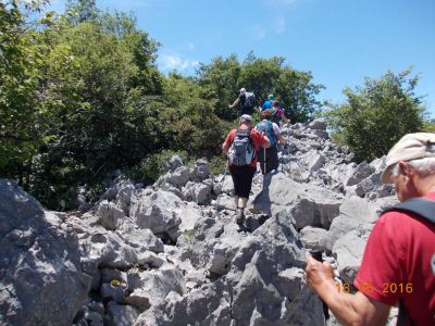 Kliknite za ogled večje slike