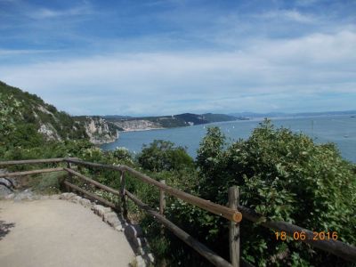 Kliknite za ogled večje slike