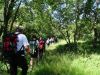 DSC02626.JPG