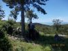 DSCN4458.JPG