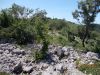 DSCN4464.JPG