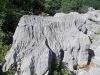 DSCN4513.JPG
