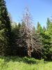 DSC04475.JPG