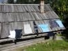 DSC04480.JPG