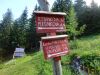 DSC04485.JPG