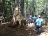 DSC04490.JPG