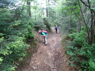 Kliknite za ogled večje slike