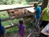 DSCN4648.JPG