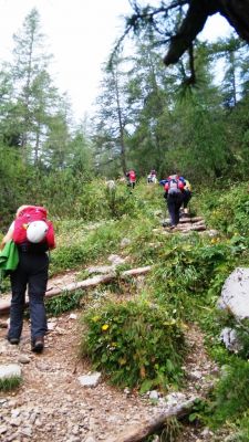 Kliknite za ogled večje slike