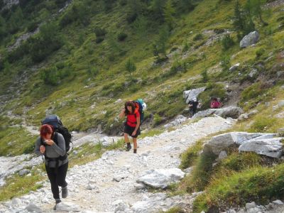 Kliknite za ogled večje slike