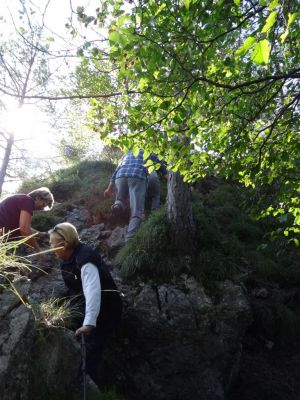 Kliknite za ogled večje slike