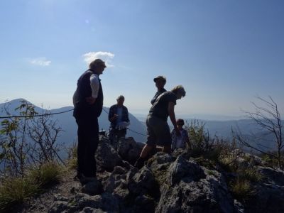 Kliknite za ogled večje slike