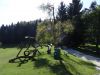DSC03639.JPG
