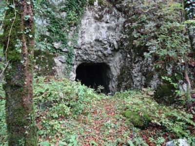 Kliknite za ogled večje slike