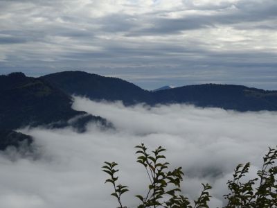 Kliknite za ogled večje slike