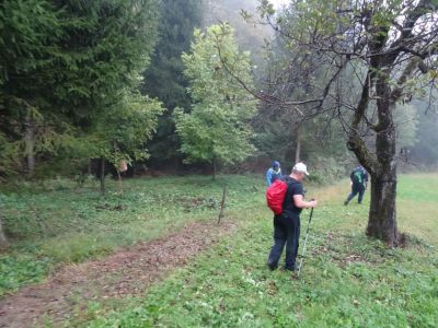 Kliknite za ogled večje slike