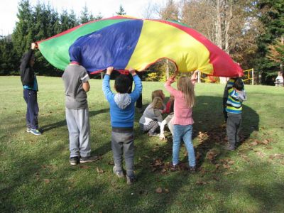 Kliknite za ogled večje slike