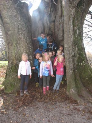 Kliknite za ogled večje slike